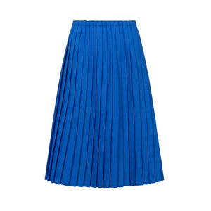 Royal blue pleated skirt.