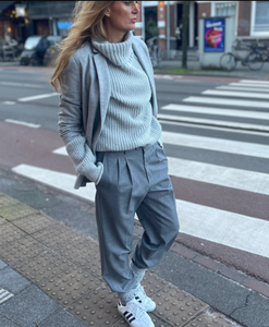 Light grey pleated pants.