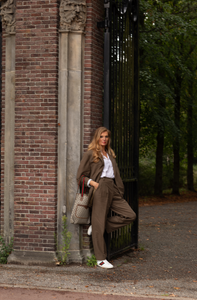 Brown reworked suit.